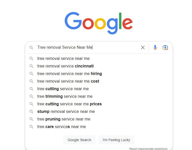 Read more about the article Tree Removal Service Near Me