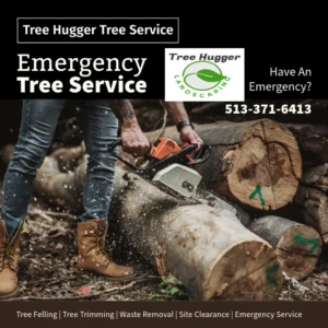 emergency tree service call to action